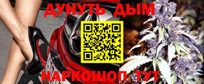 индика Малгобек