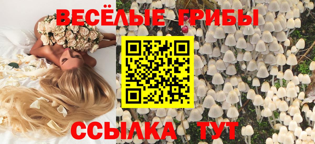 Галлюциногенные грибы Psilocybine cubensis Вятские Поляны
