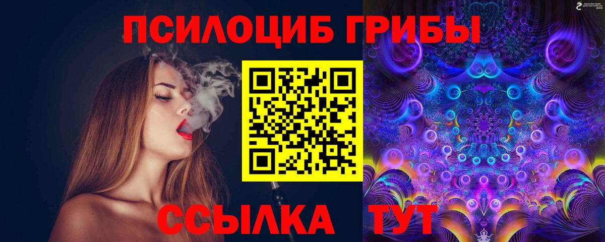 Псилоцибиновые грибы MAGIC MUSHROOMS Вятские Поляны